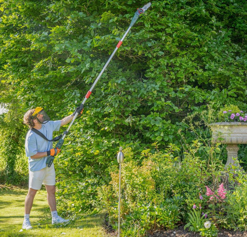 Webb Cordless Long Reach Hedge Trimmer & Pruner 20v / 50cm (Tool Only) Webb Cordless Long Reach Hedge Trimmer & Pruner 20v / 50cm (Tool Only)