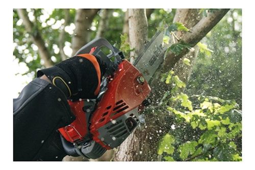 Mitox 265TX Premium Lightweight Top Handle Chainsaw 25cm / 25cc