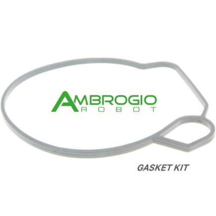 Ambrogio Twenty ZR Gaskets