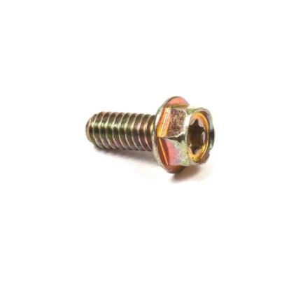 Briggs and Stratton Screw 690810