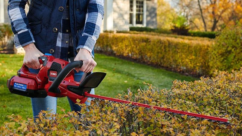 Why buy a petrol hedge cutter?
