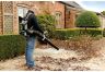 EGO LB6002E Cordless Backpack Leaf Blower Kit (5.0Ah + Rapid Charger)