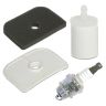 Service Kit for Husqvarna 525PT5S (10in)