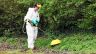 Herbi Duo Electric Handheld CDA Sprayer for Herbicides 5 Litre / 6v