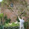 Darlac Telescopic Cut ‘n’ Hold Snapper and Saw   DP110T