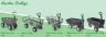 Handy 227kg Towed Utility Trailer